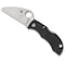 Spyderco 2024 Spyderco Reveal 6 Manbug Wharnclife Blade Plain Edge SPY-MBKWP - alternate 2